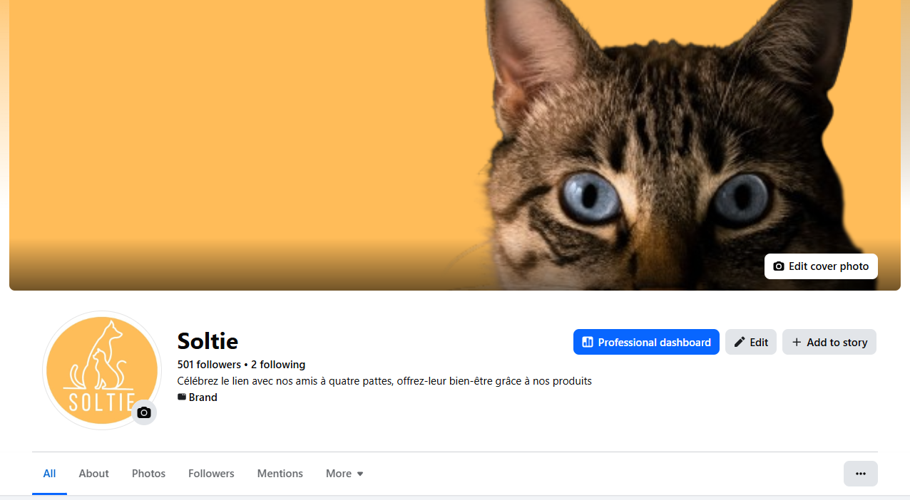 portfolio